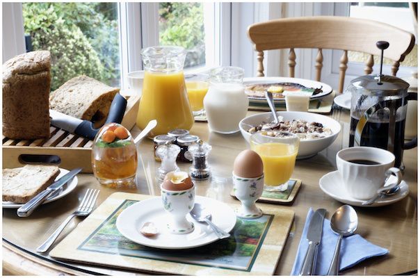 Hedgehog Corner Guest House