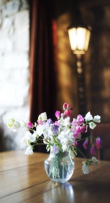 Kates Farm Bed & Breakfast