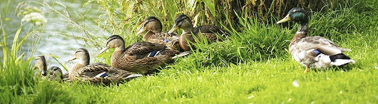 Kates Farm Bed & Breakfast