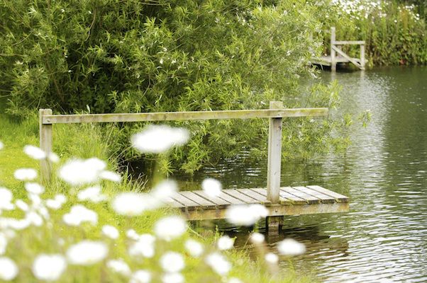 Kates Farm Bed & Breakfast